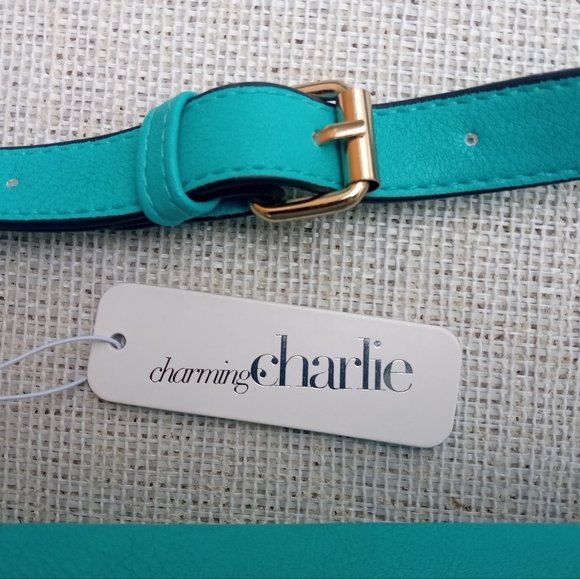 NWT Charming Charlie Crossbody Bag - Picture 12 of 15